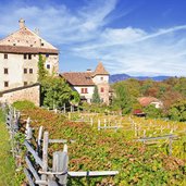 Eppan Herbst Schloss Moos