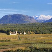 Kaltern Herbst Kreithof Rosengarten