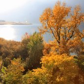 Kaltern Kalterer See Herbst