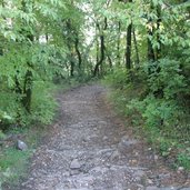 Wanderweg Leuchtenburg aufwaerts