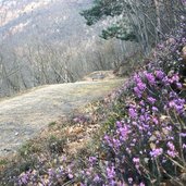 RS weg nr haselburg virgl