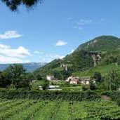 RS bozen weinbau talferpromenade