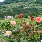 RS neumarkt ortsteil mazon schloss burg ruine kaldiff caldiff