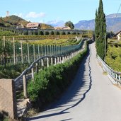 RS Eppan Herbst Weg Kreideturm