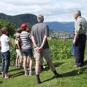 RS wein reben fuehrung lieselhof museum