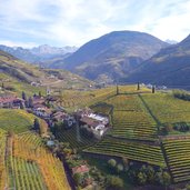 RS bozen weinlandschaft herbst st magdalena bei rentsch