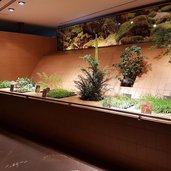 RS Naturmuseum Suedtirol Dauerausstellung Flora