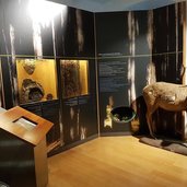 RS Naturmuseum Suedtirol Dauerausstellung Hirsch Fauna