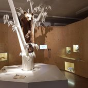 RS Naturmuseum Suedtirol Dauerausstellung Braunbaer