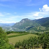 RS buchholz weinberge und blick auf suedtiroler unterland