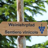 RS girlan weinlehrpfad schild