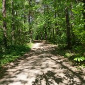 RS montiggler wald weg seen nach rungg