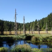 RS weissensee im naturpark trudner horn