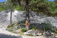 mountainbike tour eppaner hoehenweg