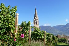 tramin dorf termeno paese