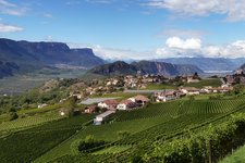 weinstrasse montan weinberge richtung bozen