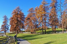 weg und efw jenesien laerchenwiesen herbst