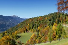 rundwanderung flak glaning bei oberglaning herbst