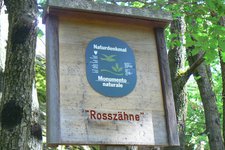 rosszaehne kaltern kalterersee