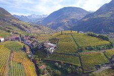 RS bozen weinlandschaft herbst st magdalena bei rentsch