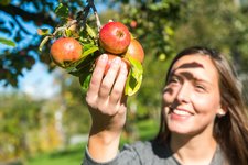 RS Apfel baum frau lachen gluecklich person marketing