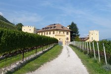 RS tramin schlossrechtental rechtenthal weinberge