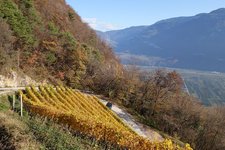 RS herbst nebel landschaft unterland richtung neumarkt salurn fr