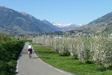 RS etschtal radweg bei sinich radfahrer