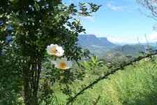 montan blick auf unterland mit heidenroeschen