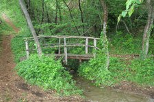 Bruecke Bach Troepltal wandern Wald RD