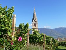 tramin dorf termeno paese