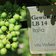 RS Gewuerztraminer Session two