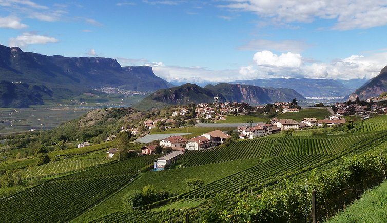 weinstrasse montan weinberge richtung bozen