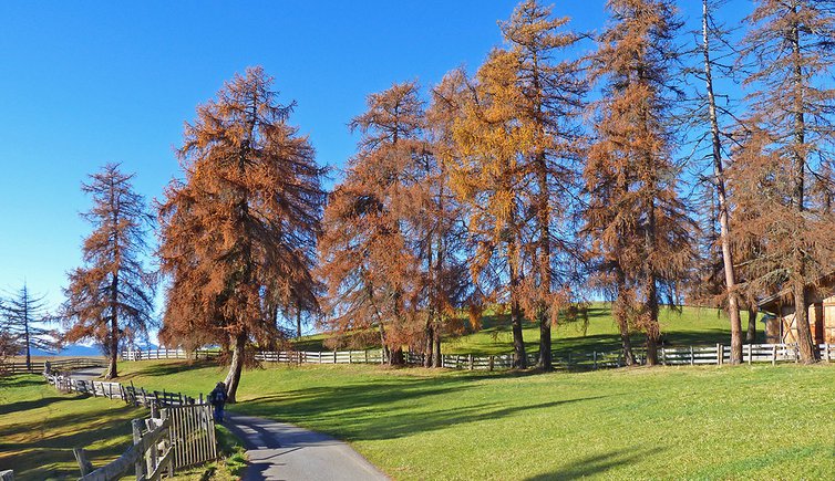 weg und efw jenesien laerchenwiesen herbst