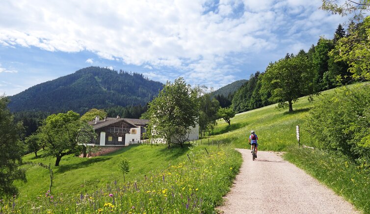 bahnweg vecia ferovia bei kaltenbrunn pausahof mountainbike