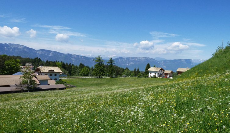 blumenwiesen bei aldein