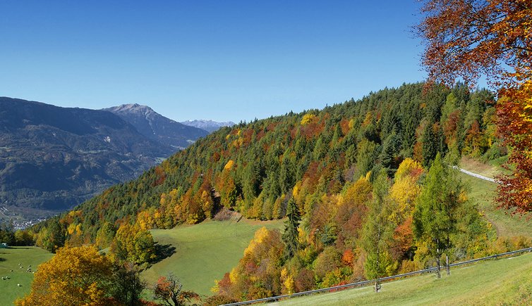 rundwanderung flak glaning bei oberglaning herbst