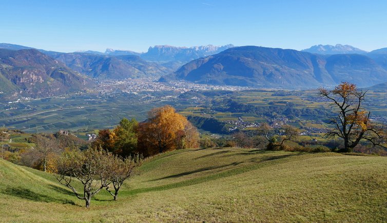 RS herbst aussicht auf bozen ab buchwald