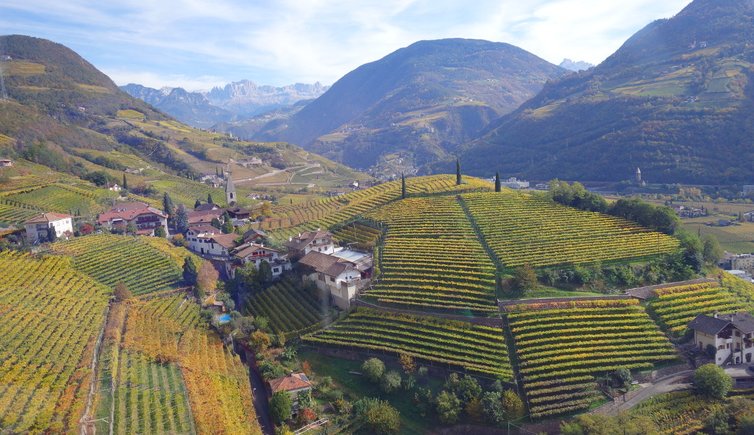 RS bozen weinlandschaft herbst st magdalena bei rentsch