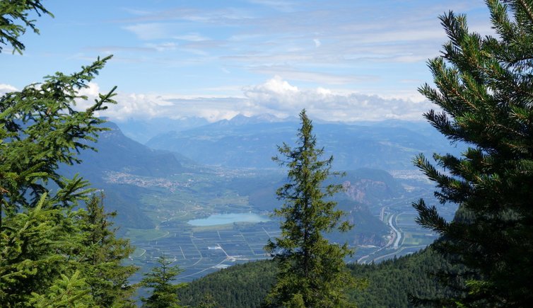 RS madrutt blick auf kalterer see und ueberetsch