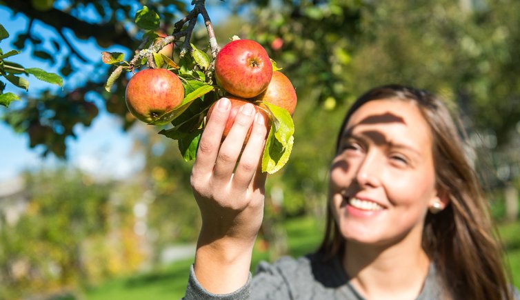 RS Apfel baum frau lachen gluecklich person marketing