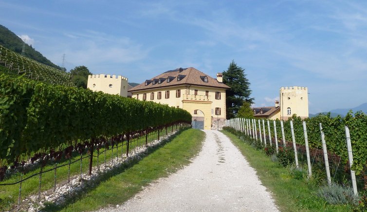 RS tramin schlossrechtental rechtenthal weinberge