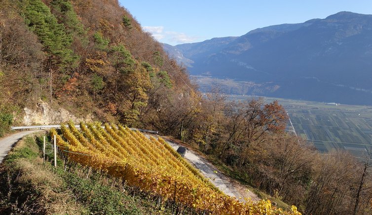 RS herbst nebel landschaft unterland richtung neumarkt salurn fr