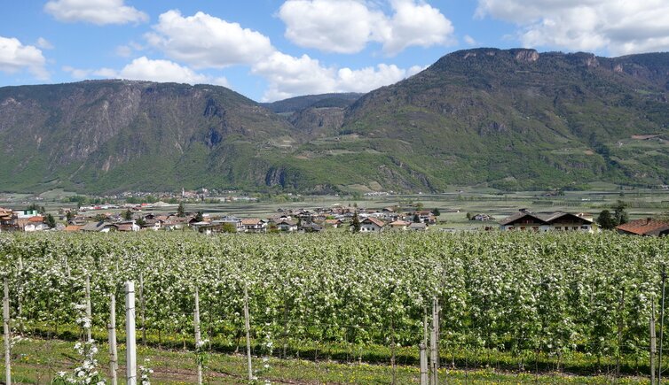 RS nals obstwiesen blick richtung vilpian