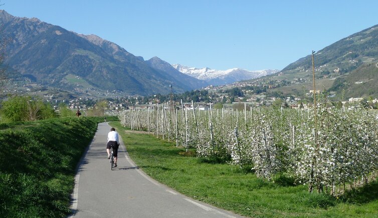 RS etschtal radweg bei sinich radfahrer