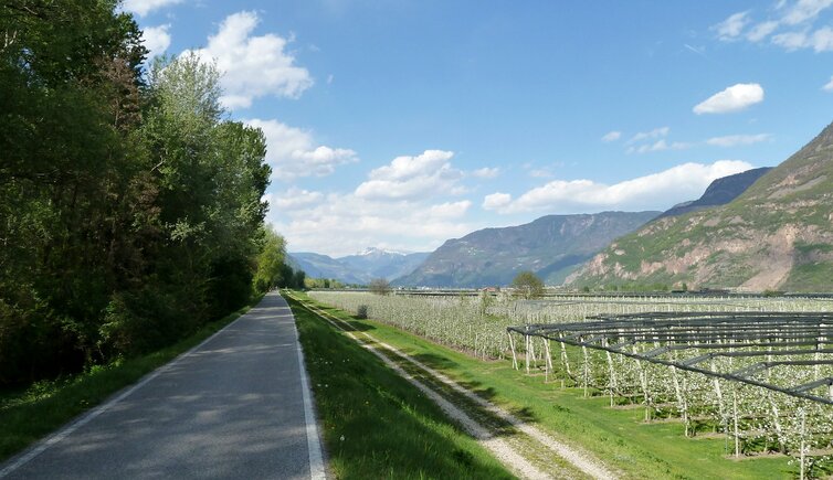 RS radweg etschtal unterland