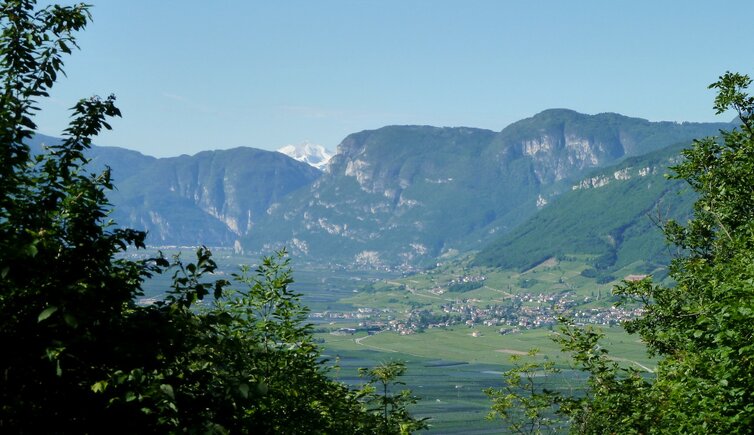 RS aussicht tramin dahinter monte bondone mit schnee