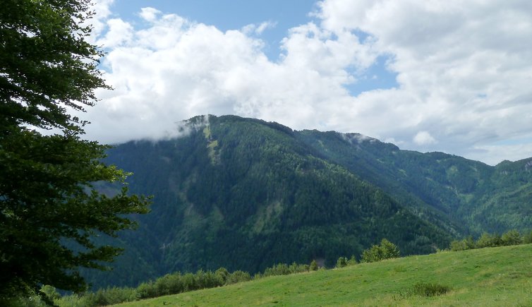 RS trudner horn im nebel