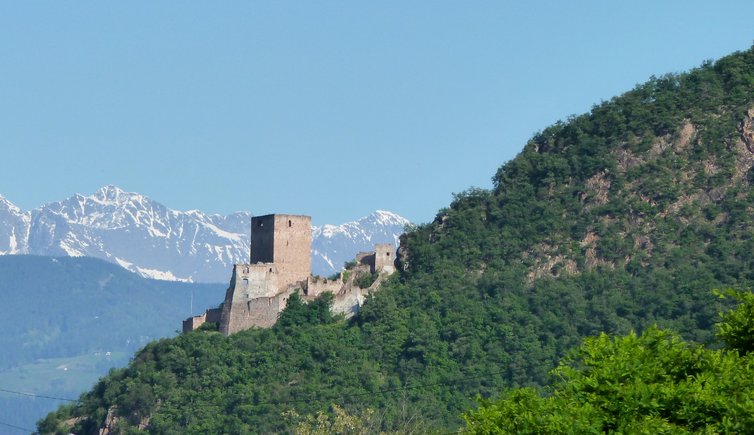 RS terlan burg ruine schloss neuhaus maultasch