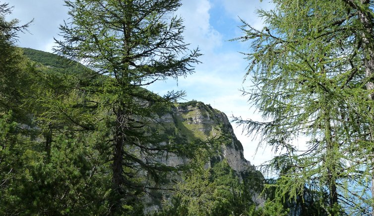 RS schwarzer kopf mendelgebirge mit gipfelkreuz